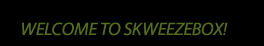 Welcome to Skweezebox Accordion Studios
